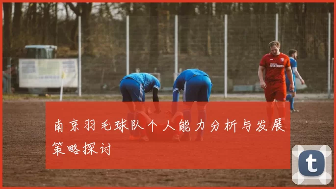 南京羽毛球队个人能力分析与发展策略探讨