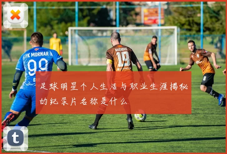 足球明星个人生活与职业生涯揭秘的纪录片名称是什么