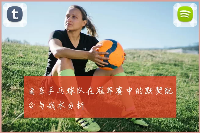 南京乒乓球队在冠军赛中的默契配合与战术分析