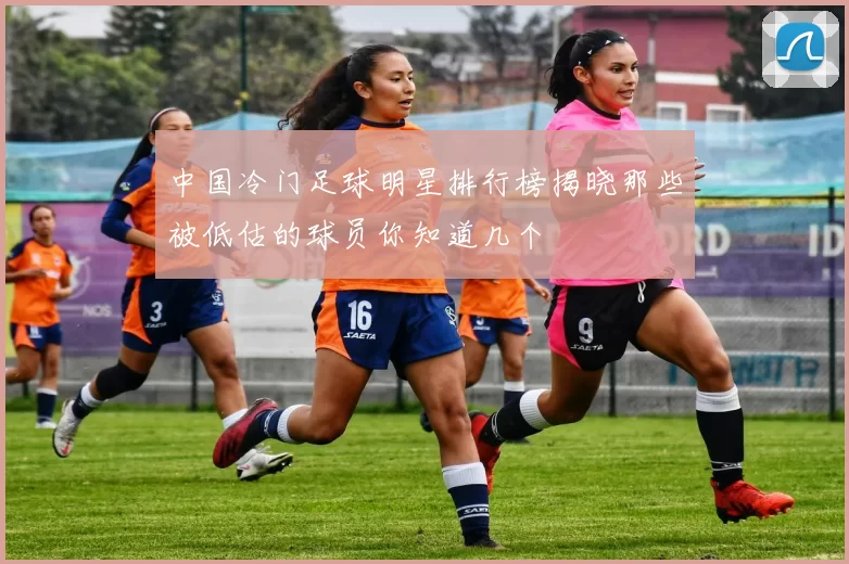 中国冷门足球明星排行榜揭晓那些被低估的球员你知道几个